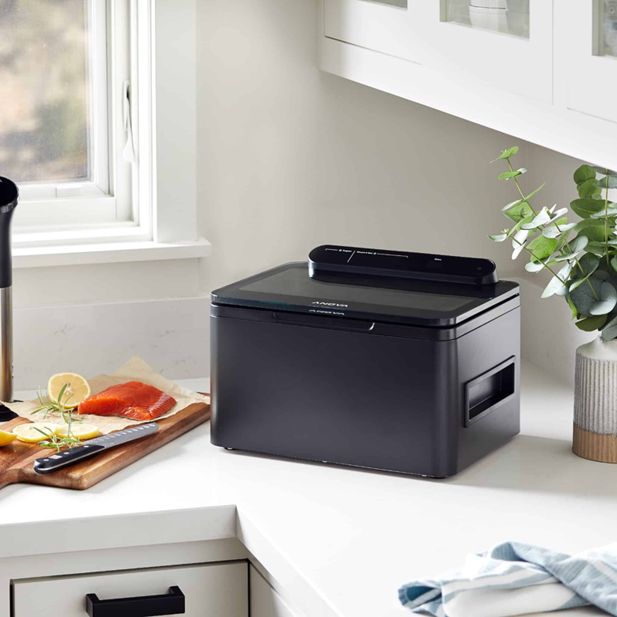 Anova Precision Chamber Vacuum Sealer - Image 6