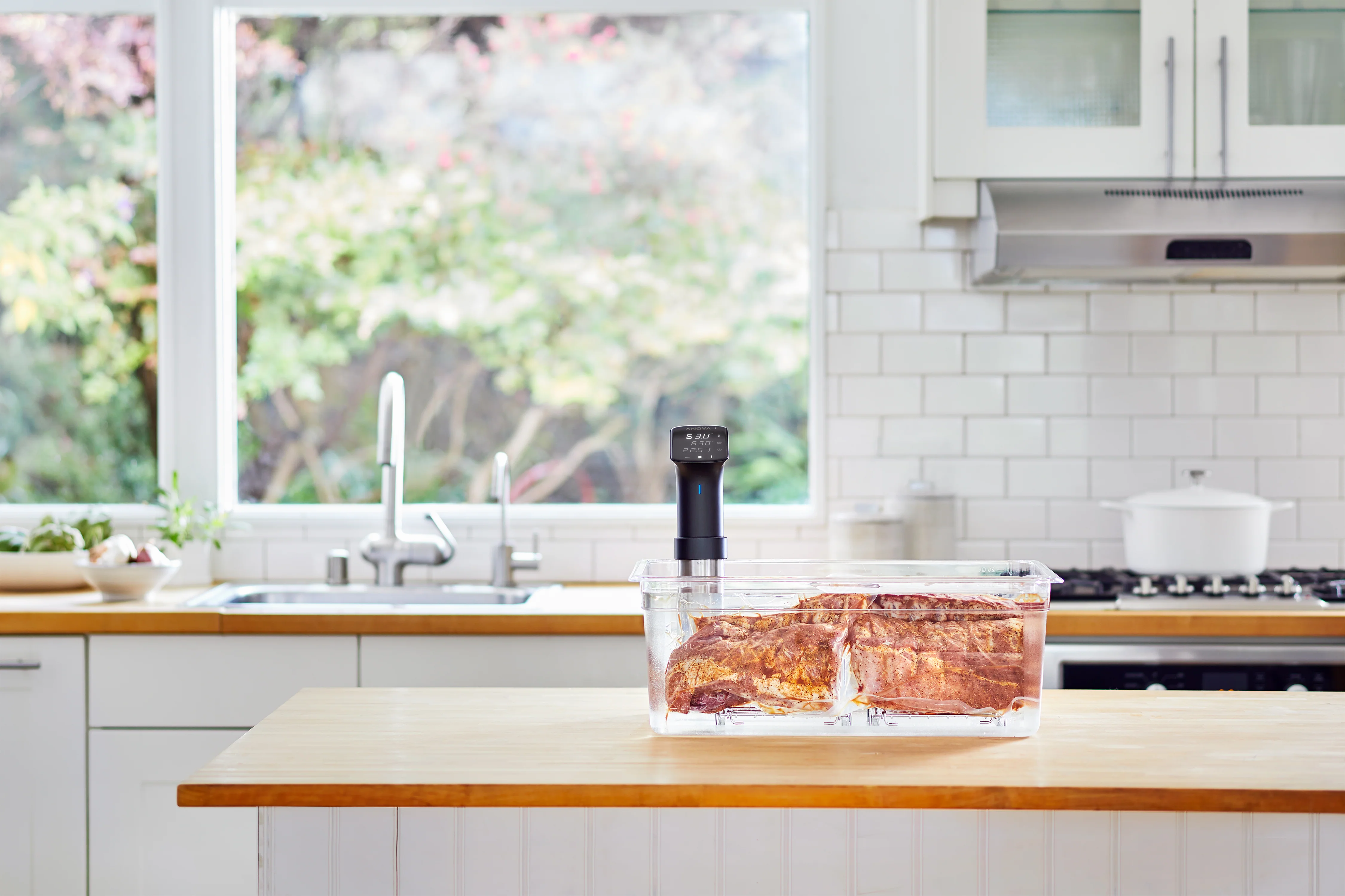 Anova Sous Vide Precision Cooker Pro - Image 6