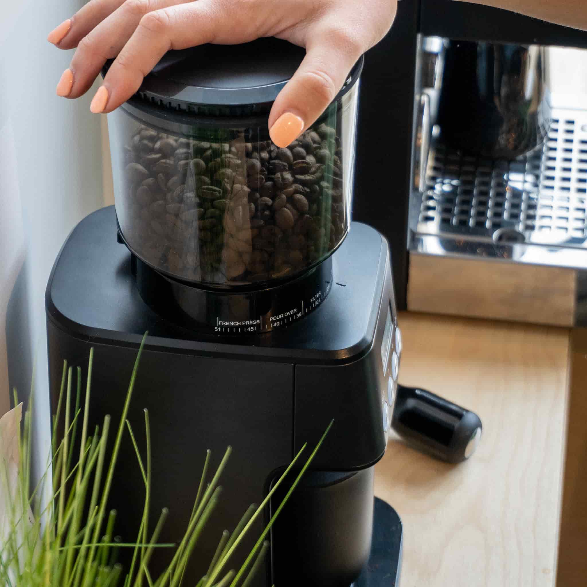 Barista & Co Core All Grind Plus - Image 6