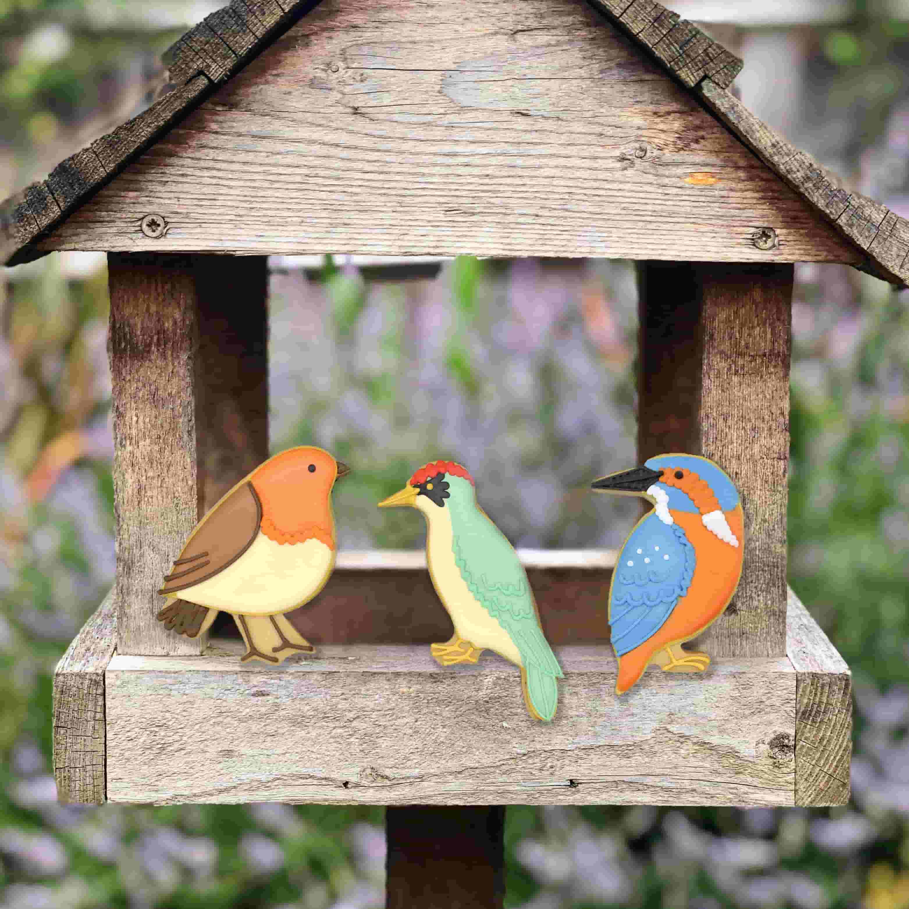 Biscuiteers Garden Birds Large Letterbox Iced Biscuits, 40g - Image 2