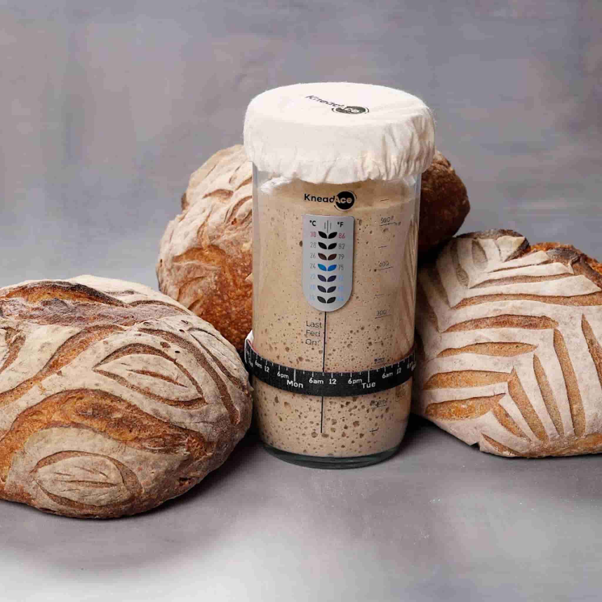KneadAce Sourdough Starter Jar Kit, 24oz - Image 2