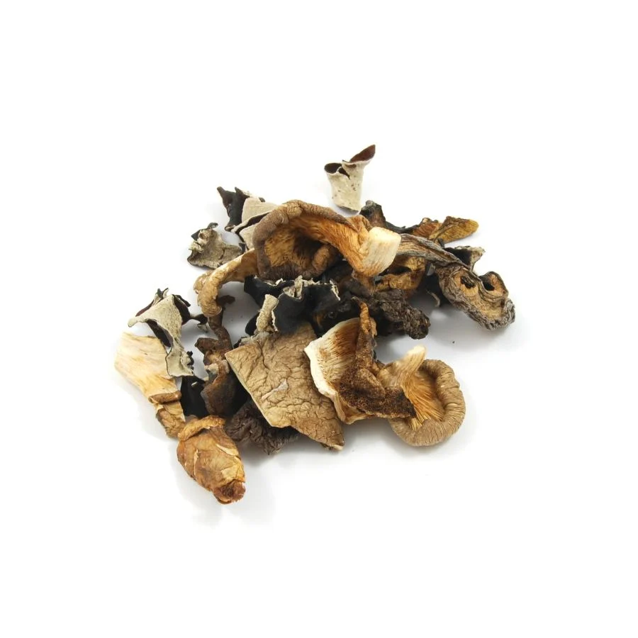 Mixed Wild Mushrooms, 500g - Image 2