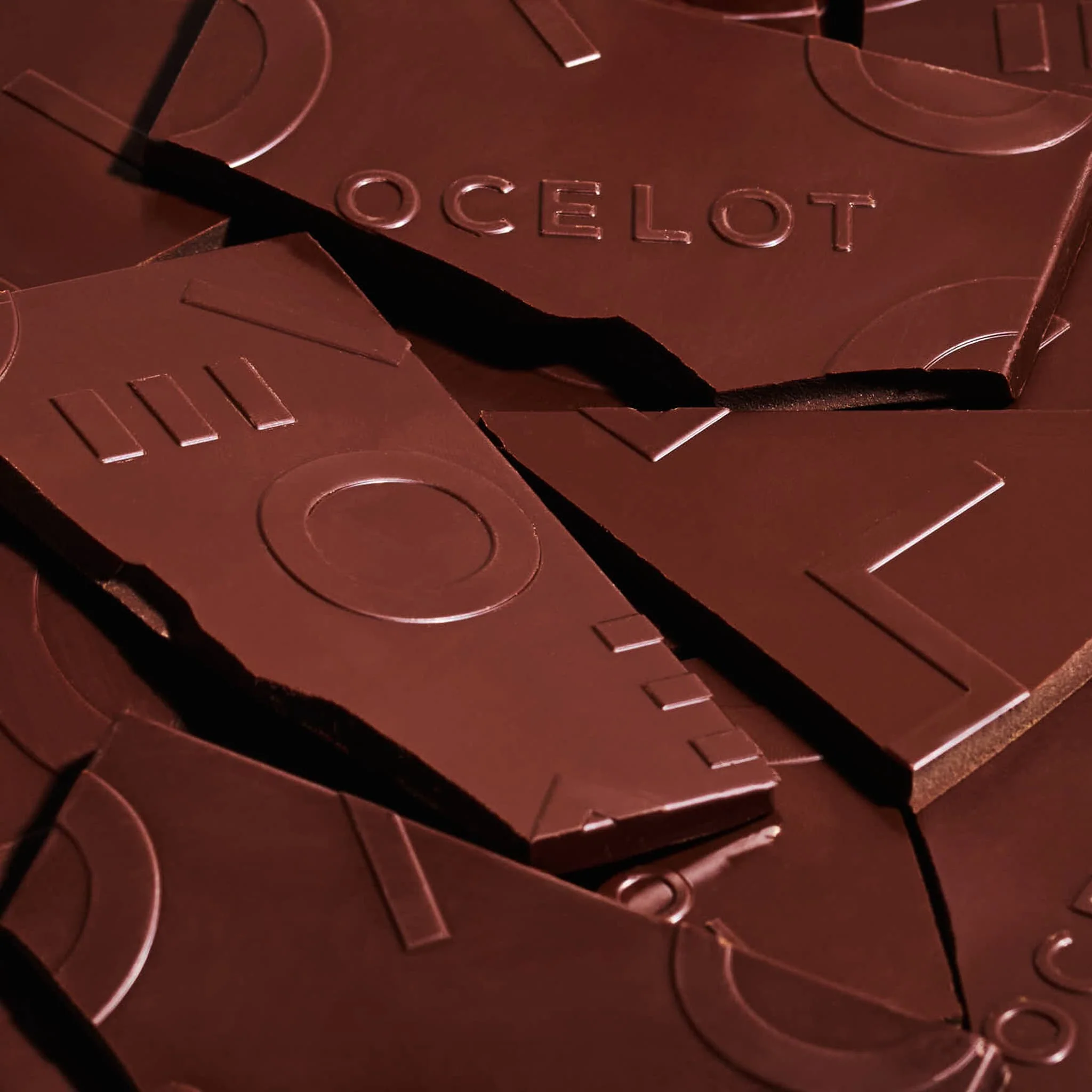 Ocelot Organic Dark Chocolate & Sea Salt Chocolate Bar, 70g - Image 2