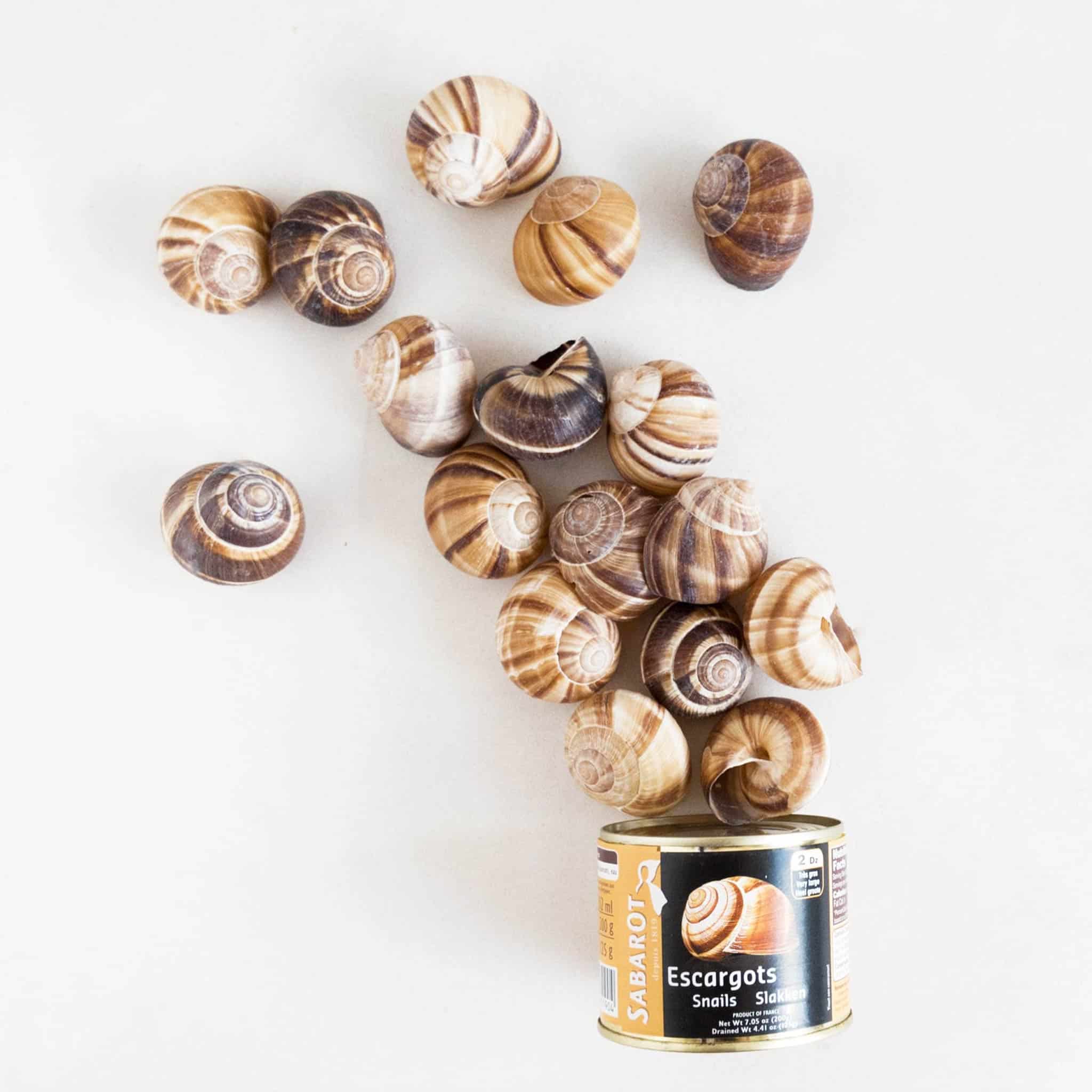 Tinned Snails With Shells, 300g - Image 2