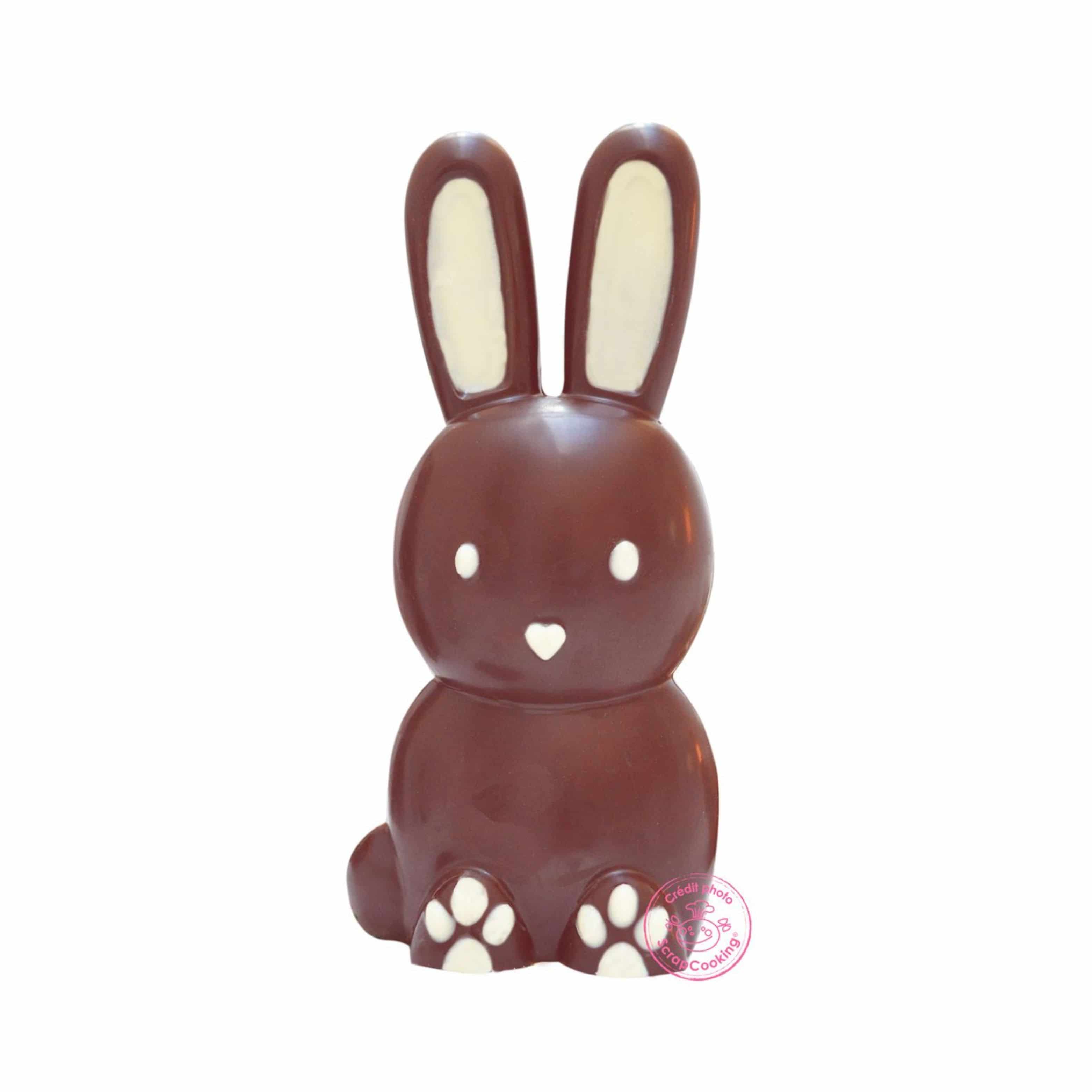 Scrap Cooking 3-Dimensional Chocolate Rabbit Mould - Image 3